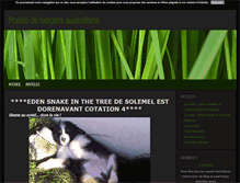 Tablet Screenshot of bergersaustraliens-arion.blog4ever.com