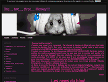 Tablet Screenshot of lemerveilleuxmondedamandine.blog4ever.com