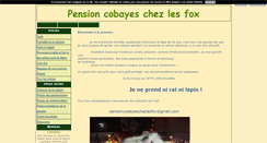 Desktop Screenshot of pensionchezlesfox.blog4ever.com