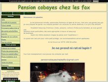 Tablet Screenshot of pensionchezlesfox.blog4ever.com