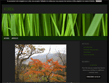 Tablet Screenshot of korea.blog4ever.com