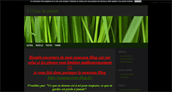 Desktop Screenshot of lesdlicesjessika.blog4ever.com
