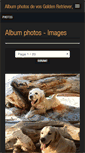 Mobile Screenshot of goldchorus.blog4ever.com