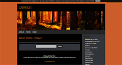 Desktop Screenshot of carpes21.blog4ever.com