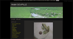 Desktop Screenshot of andregoupille.blog4ever.com