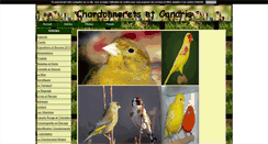 Desktop Screenshot of chardonnerets-canaries.blog4ever.com