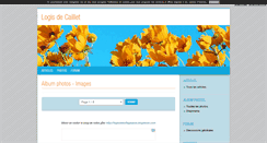 Desktop Screenshot of logisdecaillet.blog4ever.com
