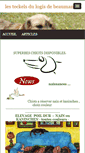 Mobile Screenshot of lesteckelsdulogisdebeaumanoir.blog4ever.com
