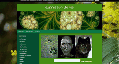 Desktop Screenshot of chris-expression.blog4ever.com