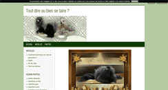 Desktop Screenshot of nbcat.blog4ever.com