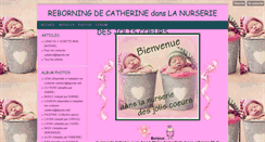 Desktop Screenshot of lereborningdecatherine.blog4ever.com