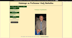 Desktop Screenshot of hadj-benhallou.blog4ever.com