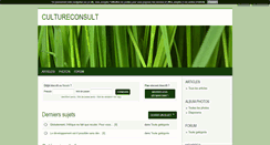 Desktop Screenshot of culture-consultation.blog4ever.com