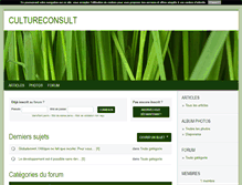 Tablet Screenshot of culture-consultation.blog4ever.com