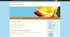 Desktop Screenshot of operationseduction.blog4ever.com