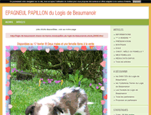 Tablet Screenshot of epagneulpapillon-beaumanoir.blog4ever.com