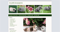 Desktop Screenshot of lespetitsbourguignons.blog4ever.com