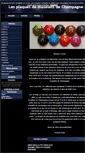 Mobile Screenshot of plaquesdemuseletsdechampagne.blog4ever.com