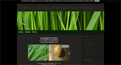 Desktop Screenshot of ecojardin-ecopaysagiste.blog4ever.com