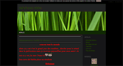 Desktop Screenshot of nailart-avec-ninine.blog4ever.com