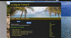 Desktop Screenshot of leblogdetristan.blog4ever.com