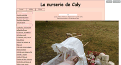 Desktop Screenshot of calysnursery.blog4ever.com