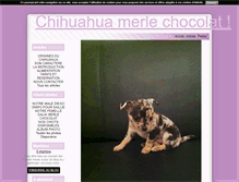 Tablet Screenshot of chihuahua4ever.blog4ever.com