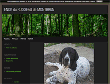 Tablet Screenshot of enokduruisseaudemontbrun.blog4ever.com