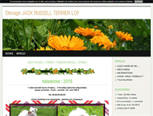 Tablet Screenshot of chiots-jackrussell.blog4ever.com