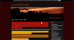 Desktop Screenshot of boubouleboxer.blog4ever.com