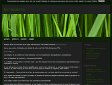 Tablet Screenshot of ecotravauxbe.blog4ever.com
